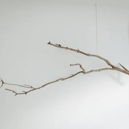 Apartment Fresena Bude 2 *