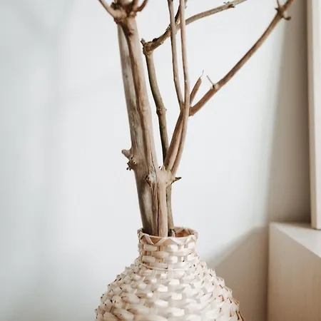 Fresena Bude 2 Apartment