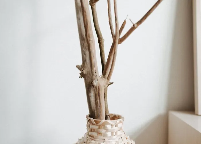 Fresena Bude 2 Апартаменты